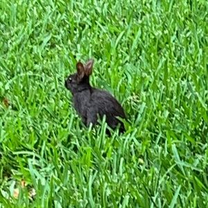 Meet your Posher, Tj